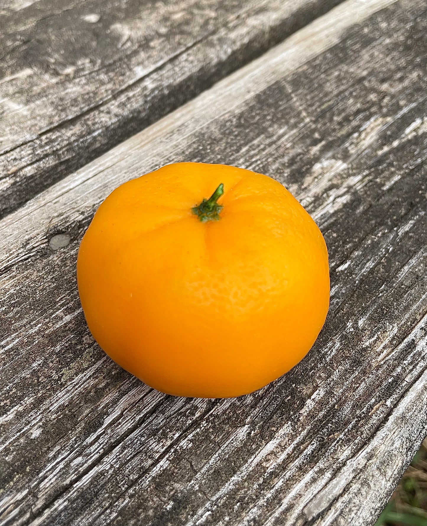 Silicone 3D realistic mandarin mold