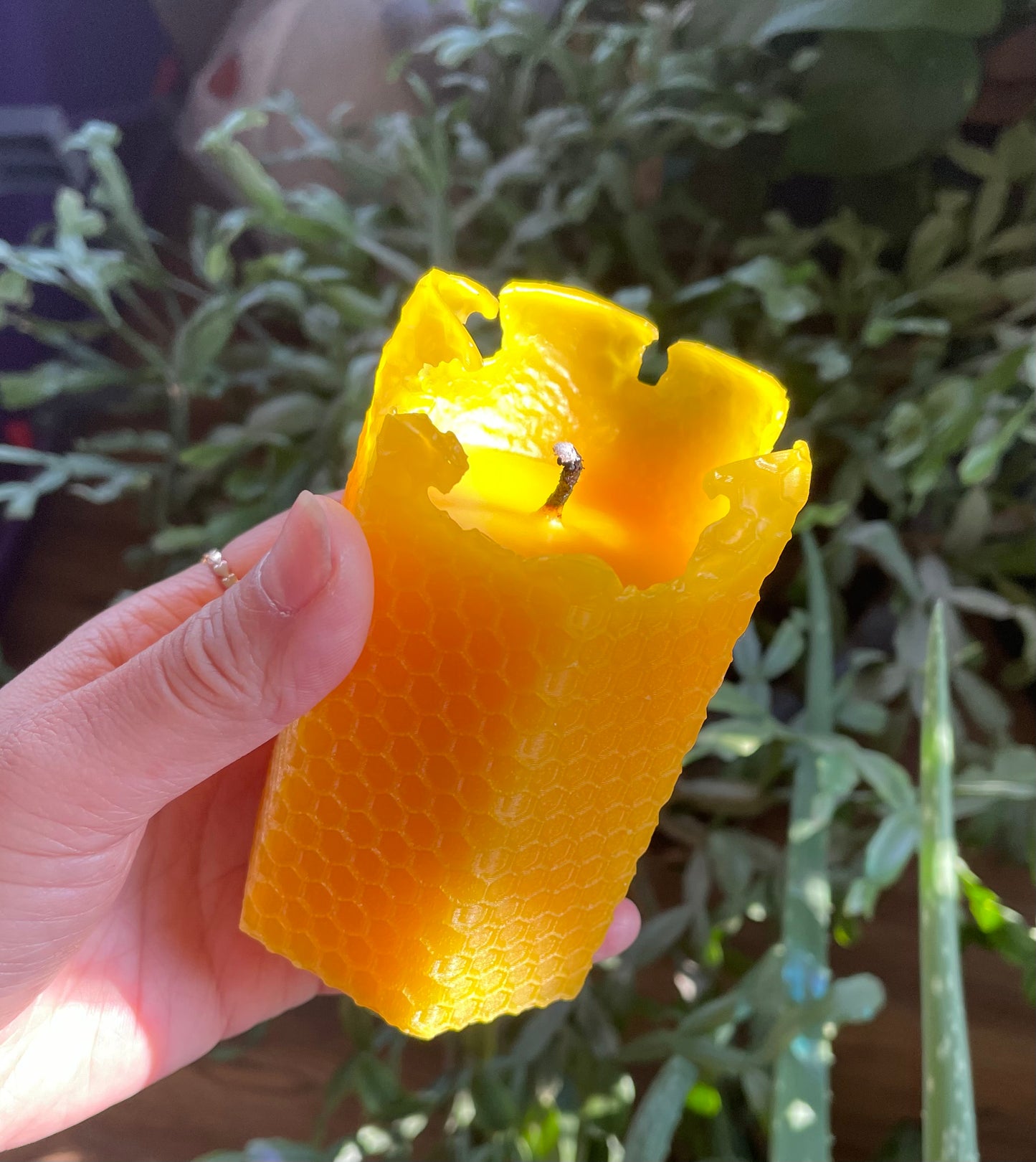 100% Pure beeswax hexagonal honeycomb honeybee pillar candle - candle gift - 3.75”