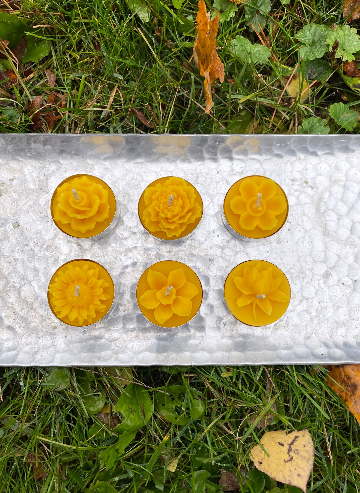 Pack of 6 pure beeswax assorted flower tealight candles