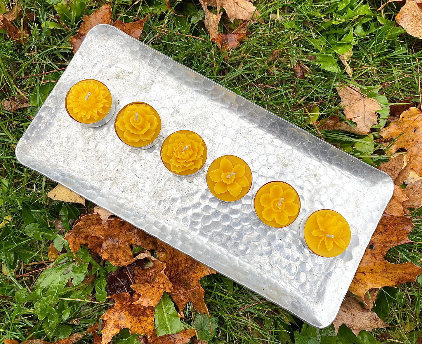 Pack of 6 pure beeswax assorted flower tealight candles