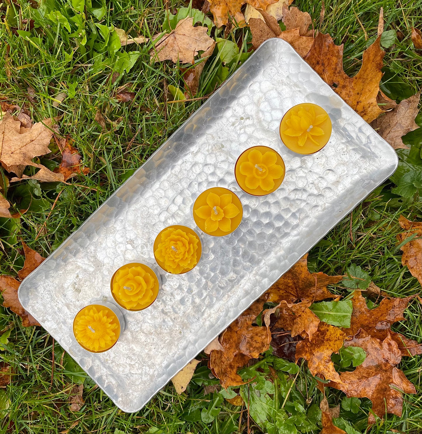 Pack of 6 pure beeswax assorted flower tealight candles