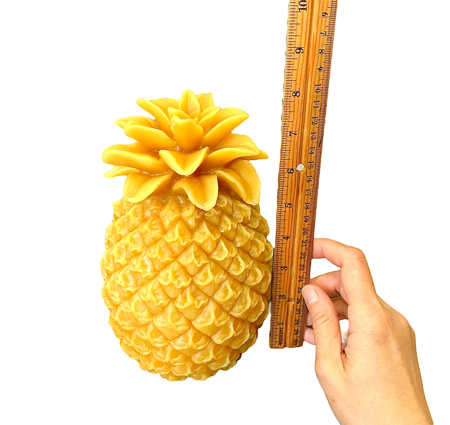 Life size 3D pineapple mold