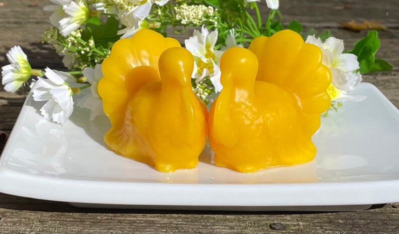 Set of 2 beeswax turkey candles - 100% Pure - thanksgiving candles - decorative candles - seasonal holiday candles - gift basket