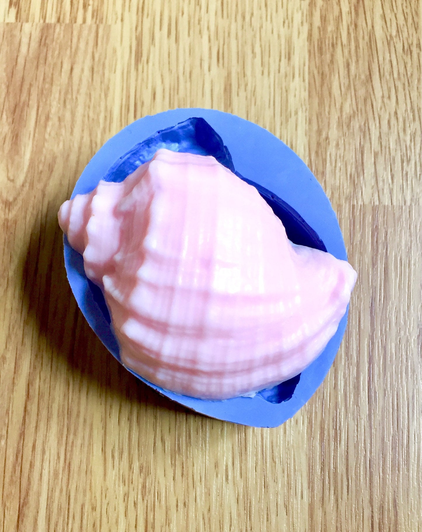 Silicone shell Mold - sea shell - soap - candle - lotion bar