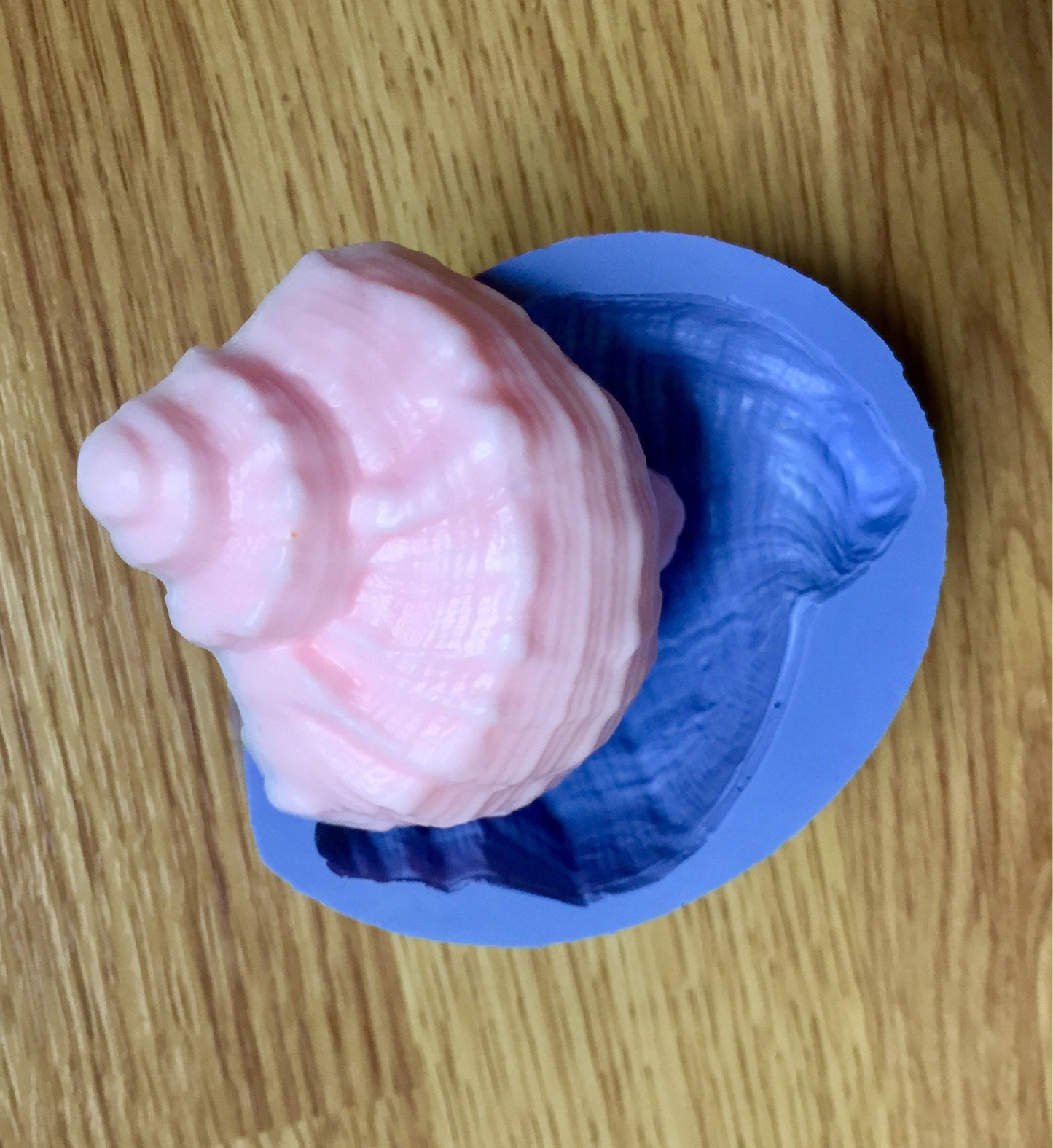 Silicone shell Mold - sea shell - soap - candle - lotion bar