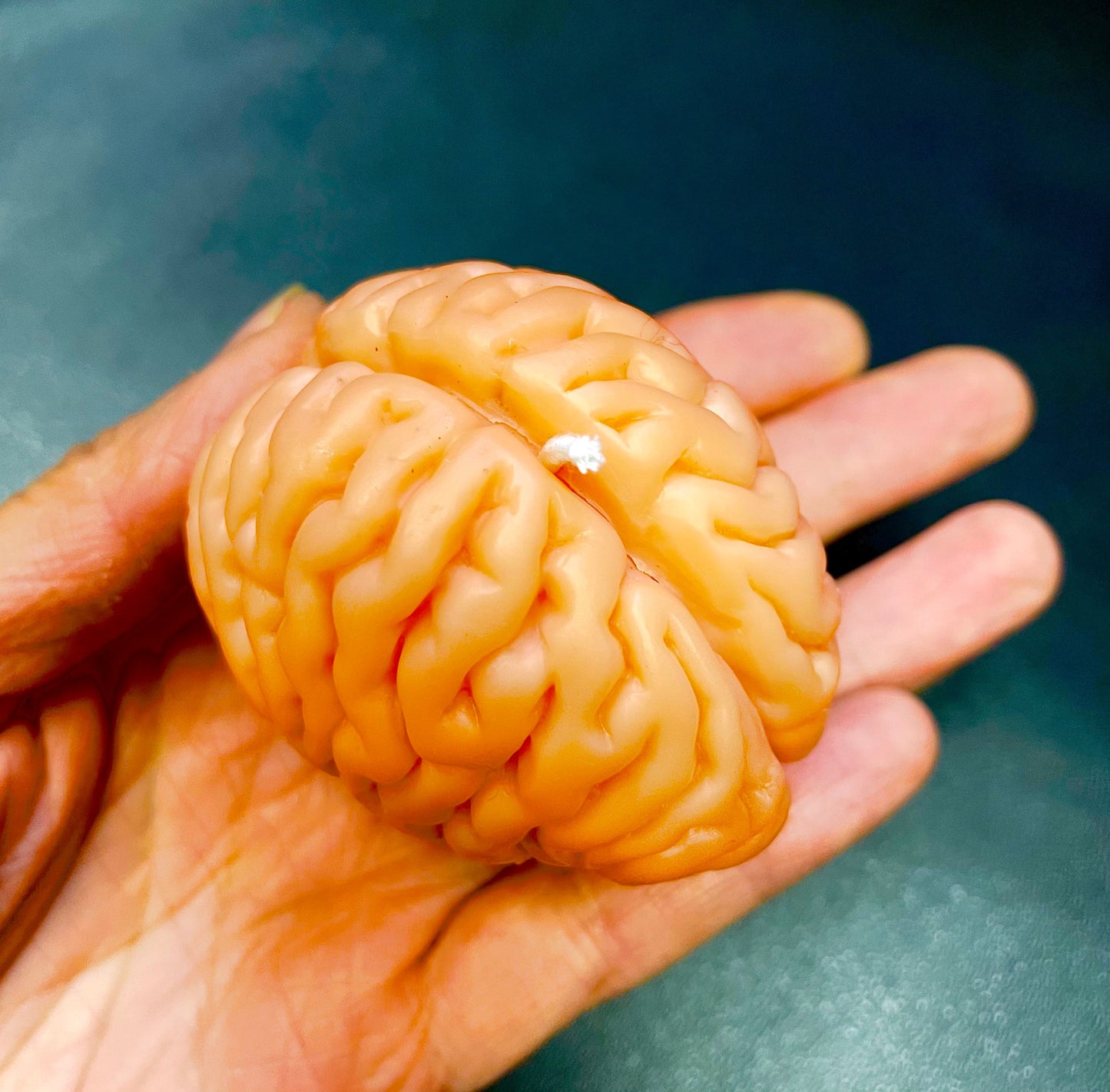 Small 3D Silicone brain Mold - Halloween candle mold - gag gift - homemade - 2”