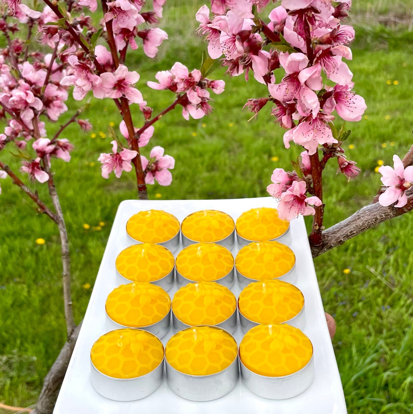 Silicone honey bee Tealight candle Mold - honeybee honeycomb tealight mold - 4 cavities - wax melt lotion bar - guest soap
