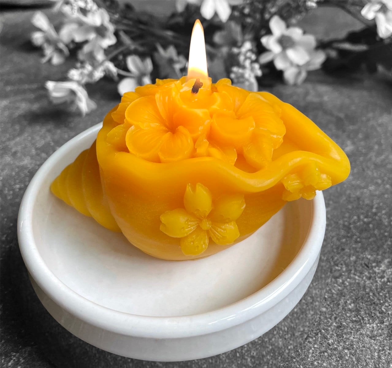3D Silicone shell mold - shell candle soap mold - beach themed candle mold - resin chocolate mold