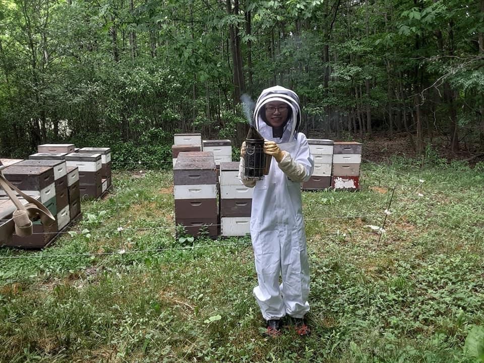 100% raw Bee propolis - natural high quality bee product - direct from beekeeper