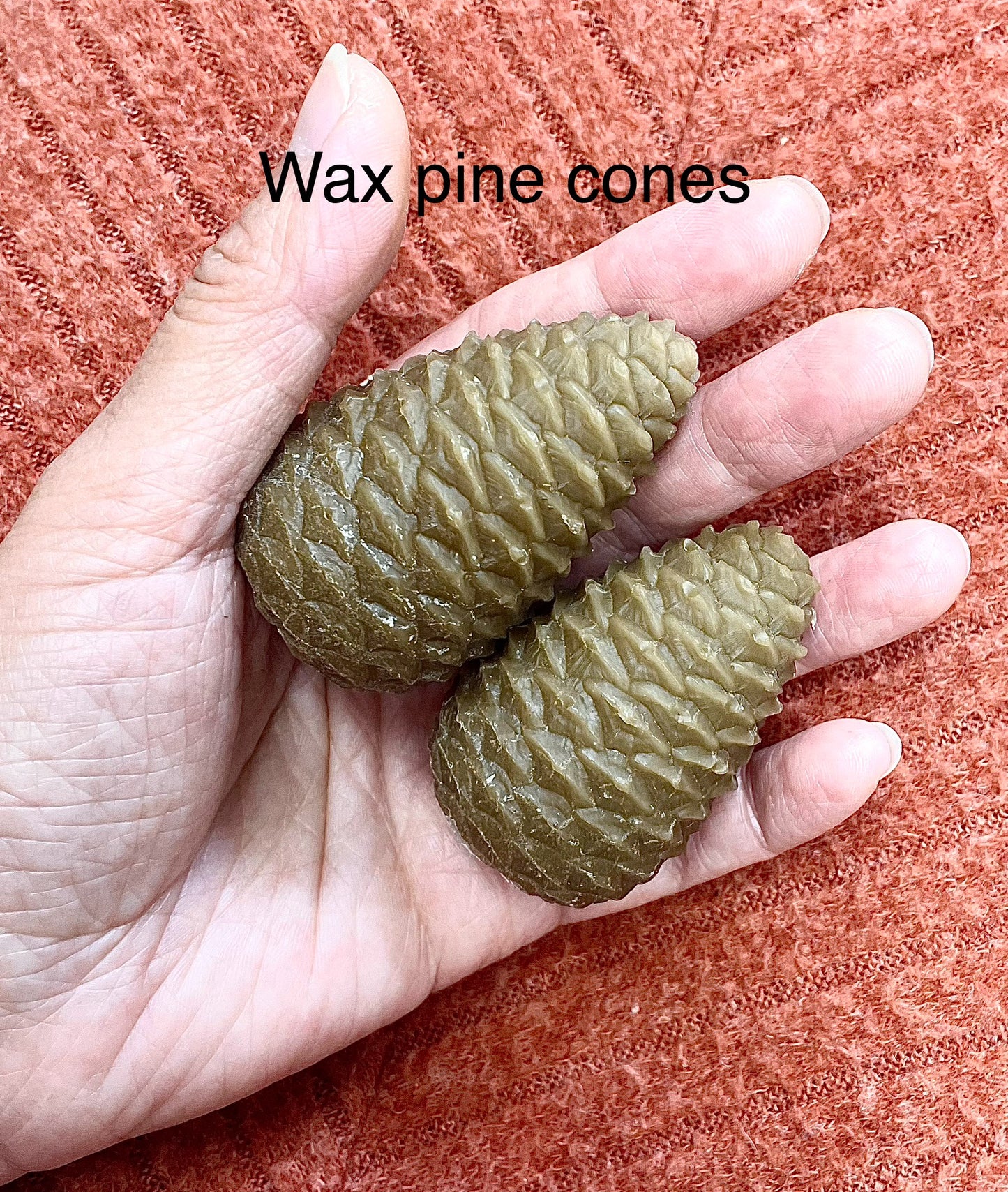 A set of two cute pine cone molds