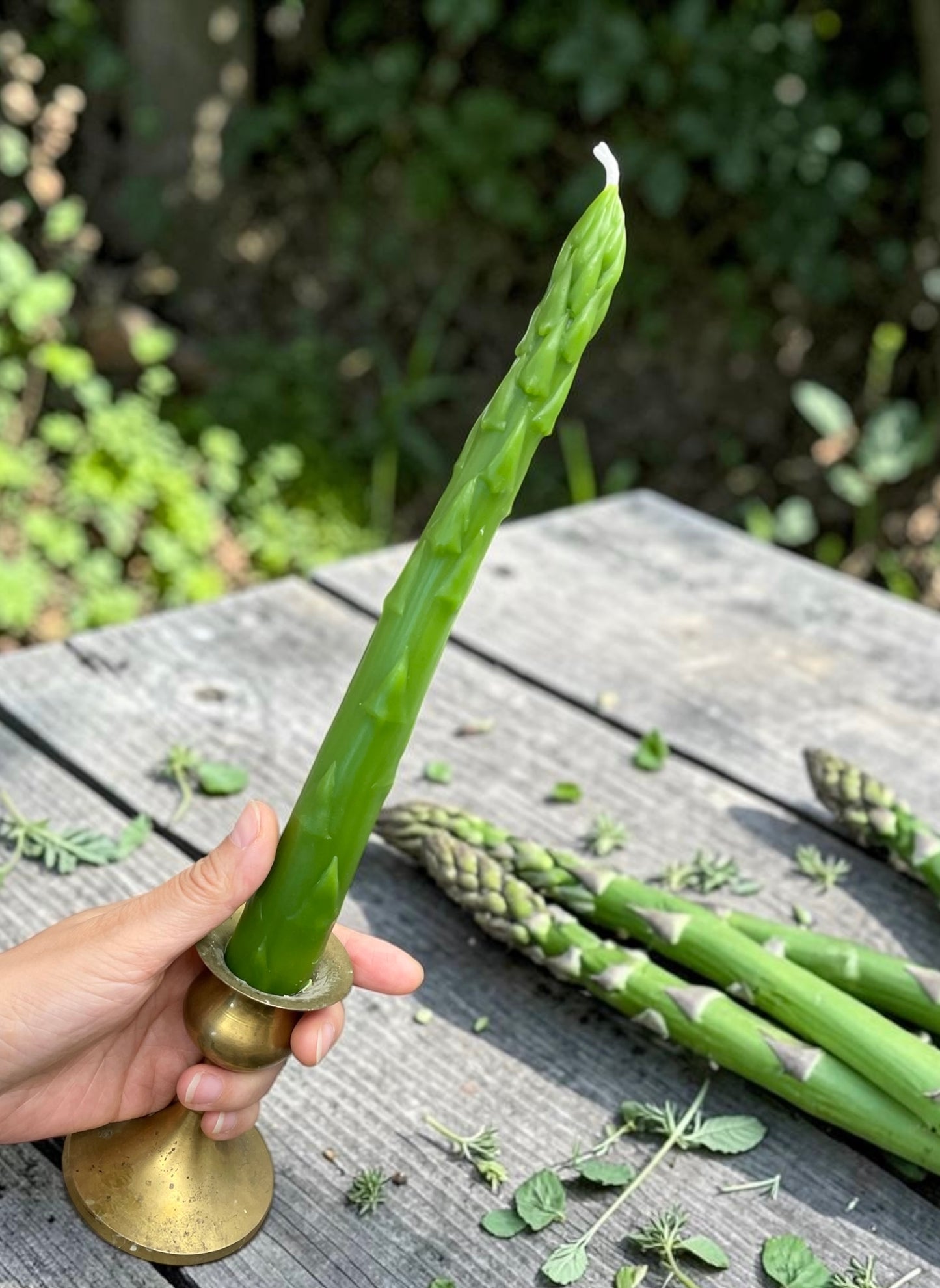 Realistic 3D asparagus mold 9.5”