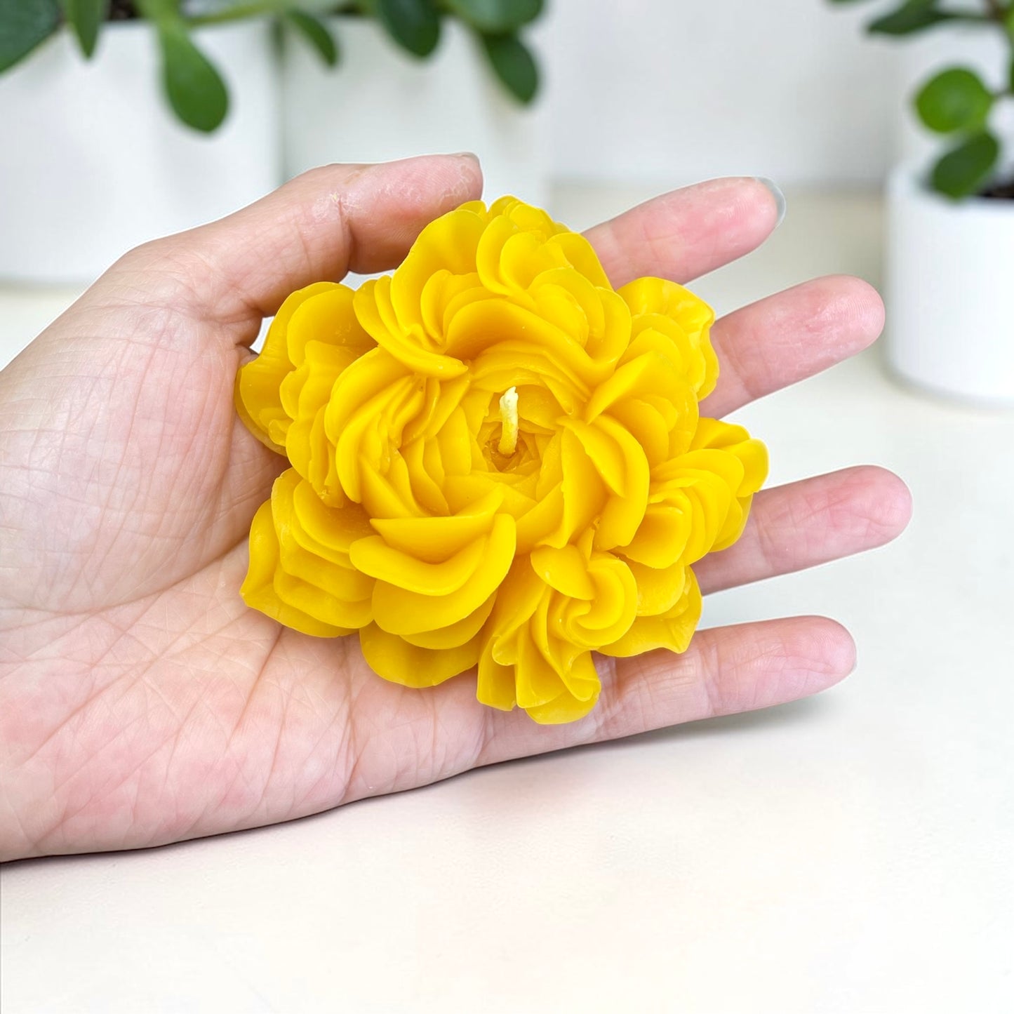 Pure beeswax Austin rose candles