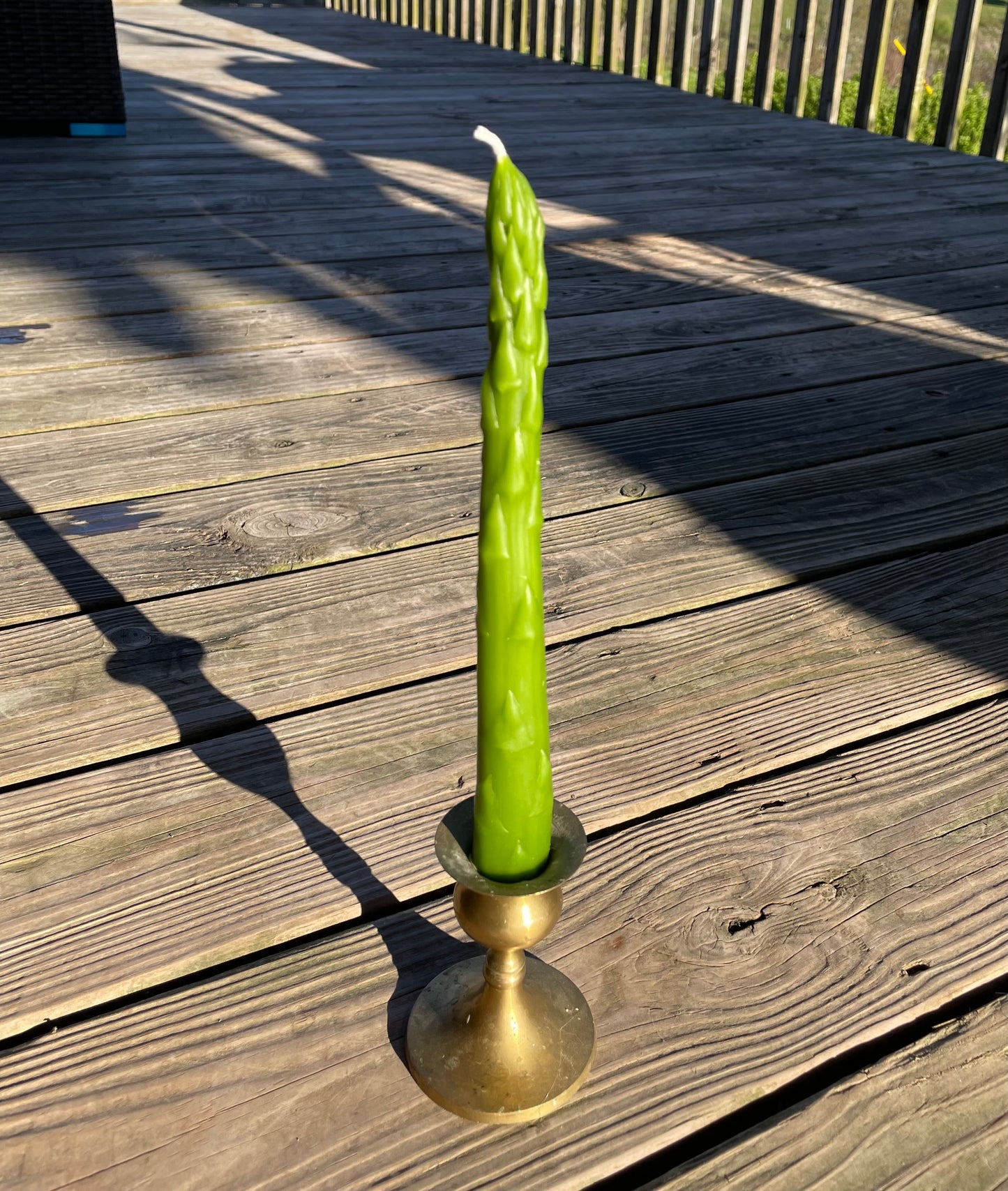 Realistic 3D asparagus mold 9.5”