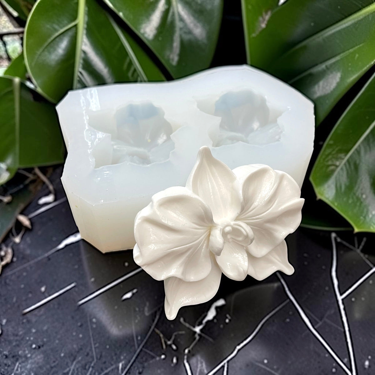 Silicone Orchard flower mold - 2 cavities