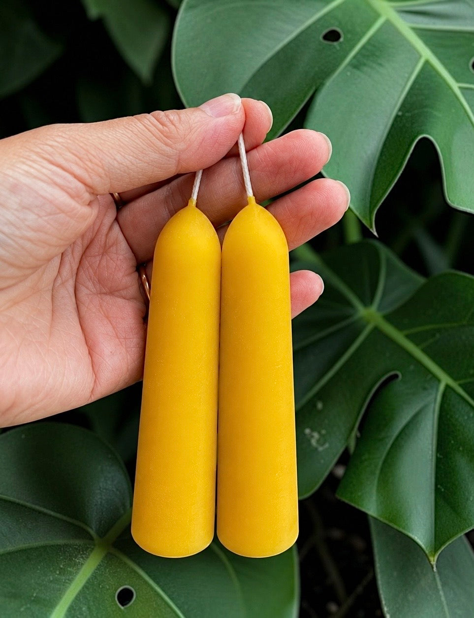 A pair pure beeswax stubby taper candles 5” - 15 hrs