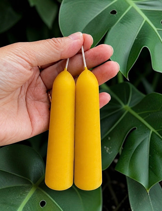 A pair pure beeswax stubby taper candles 5” - 15 hrs