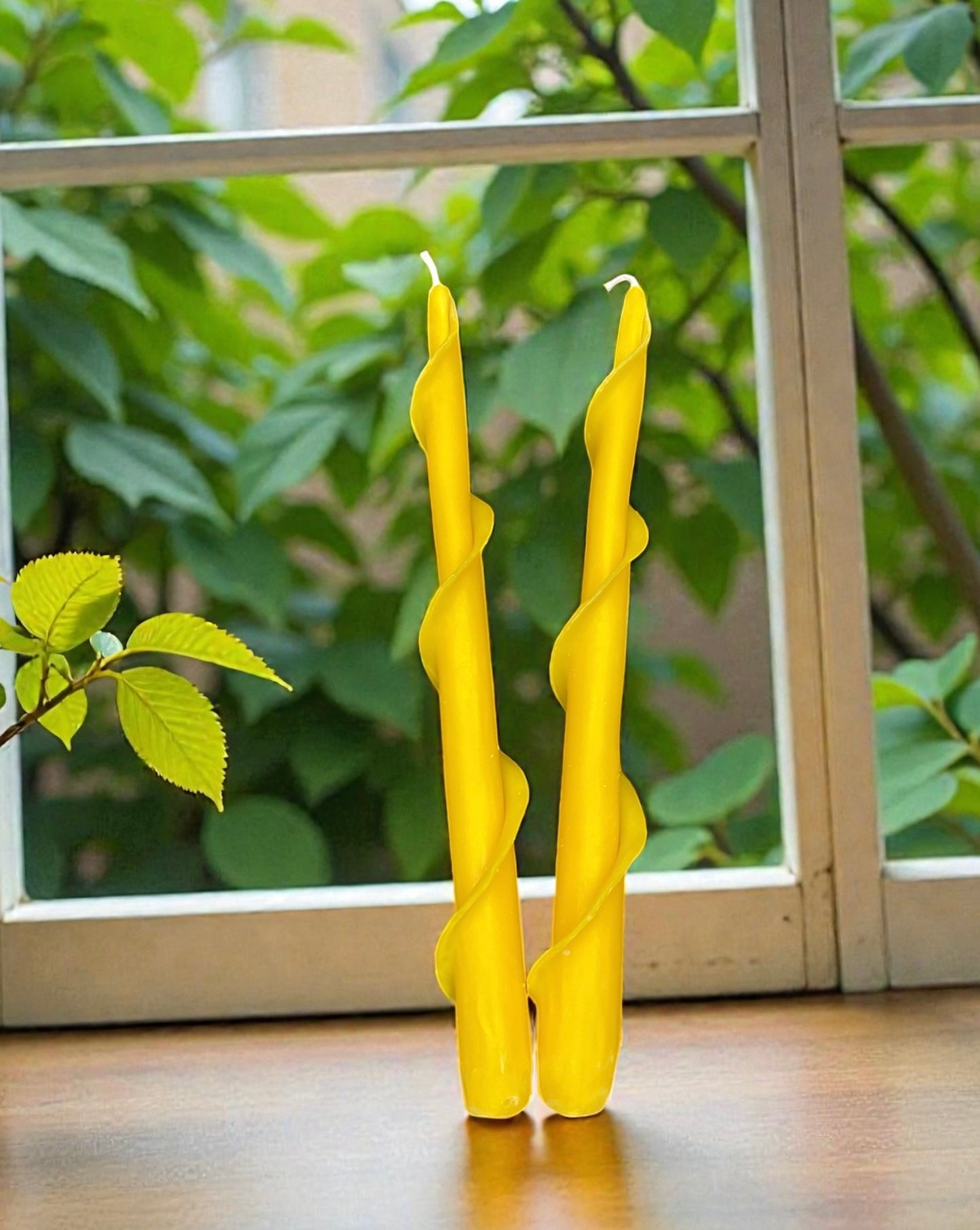 A set of two hand rolled pure beeswax spiral taper candles