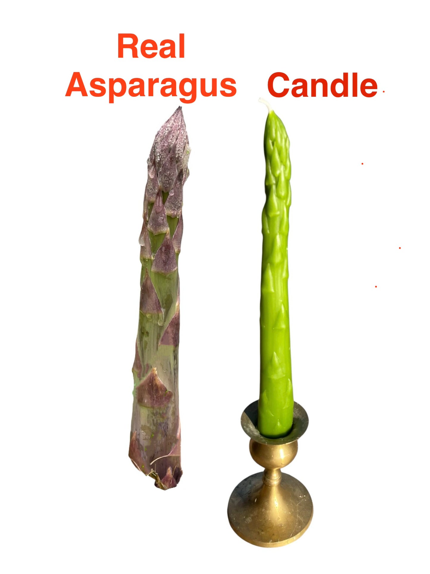 Realistic 3D asparagus mold 9.5”