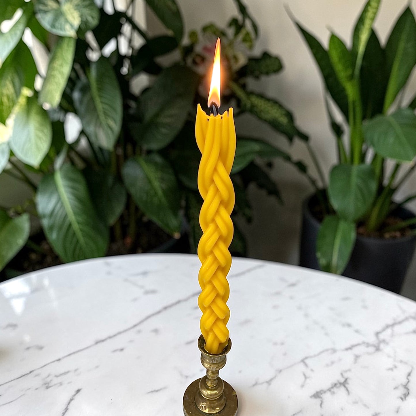 Braided beeswax candle 10” - 2 wick taper candle - havdalah candle