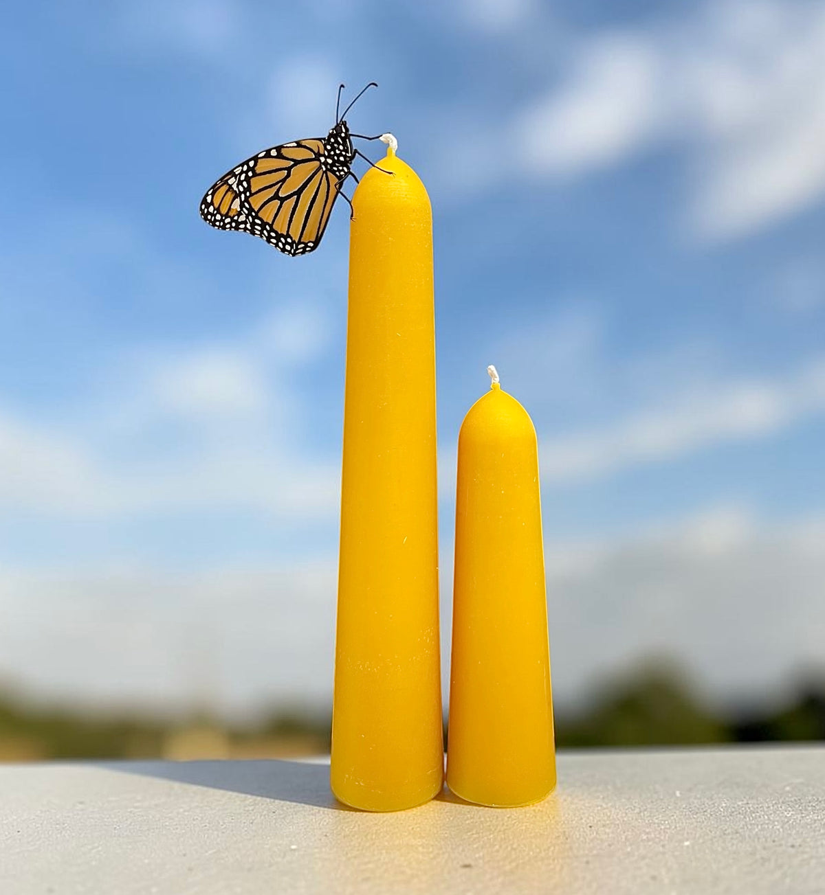 silicone stubby taper candle mold 4” 5” 8”