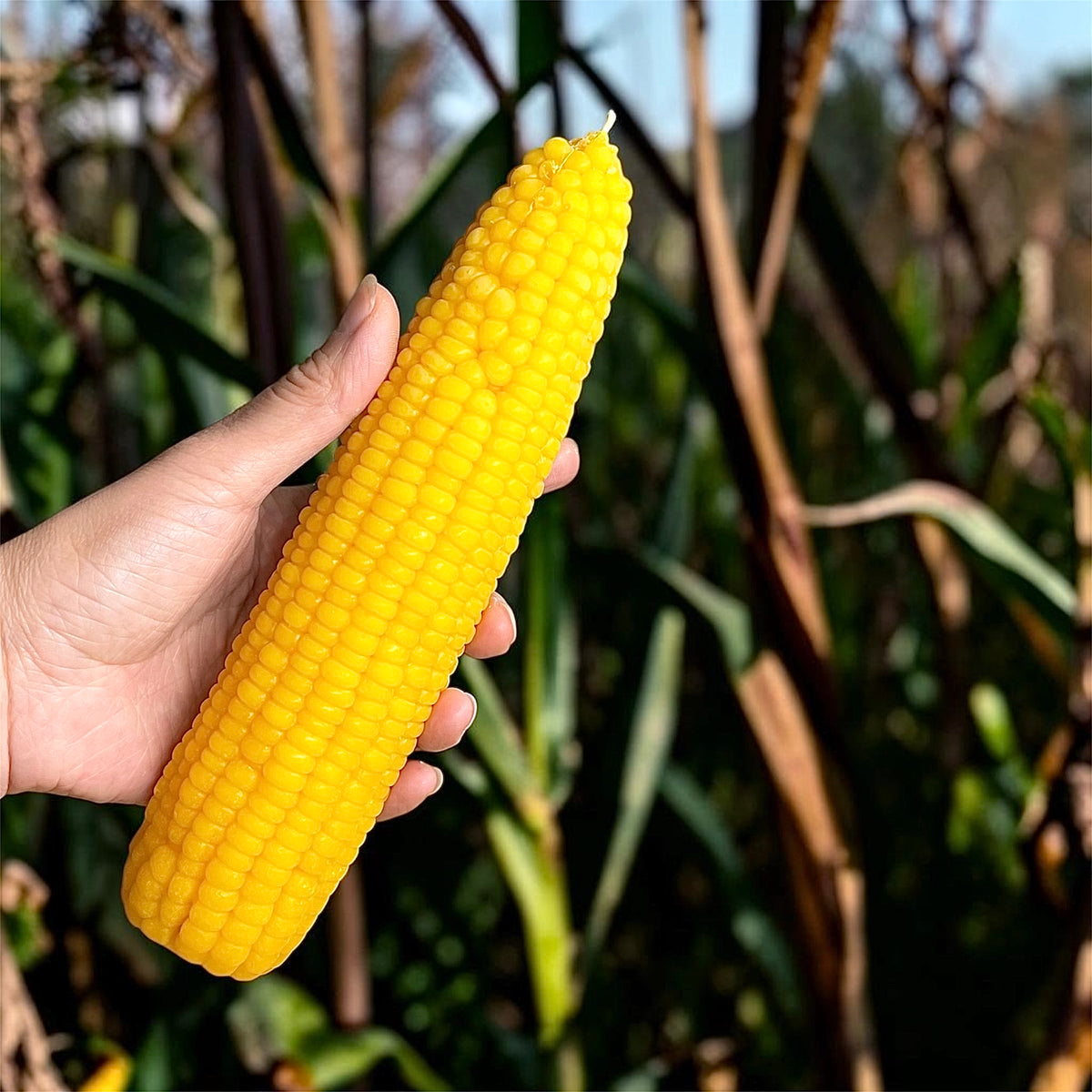 8” realistic whole corn mold
