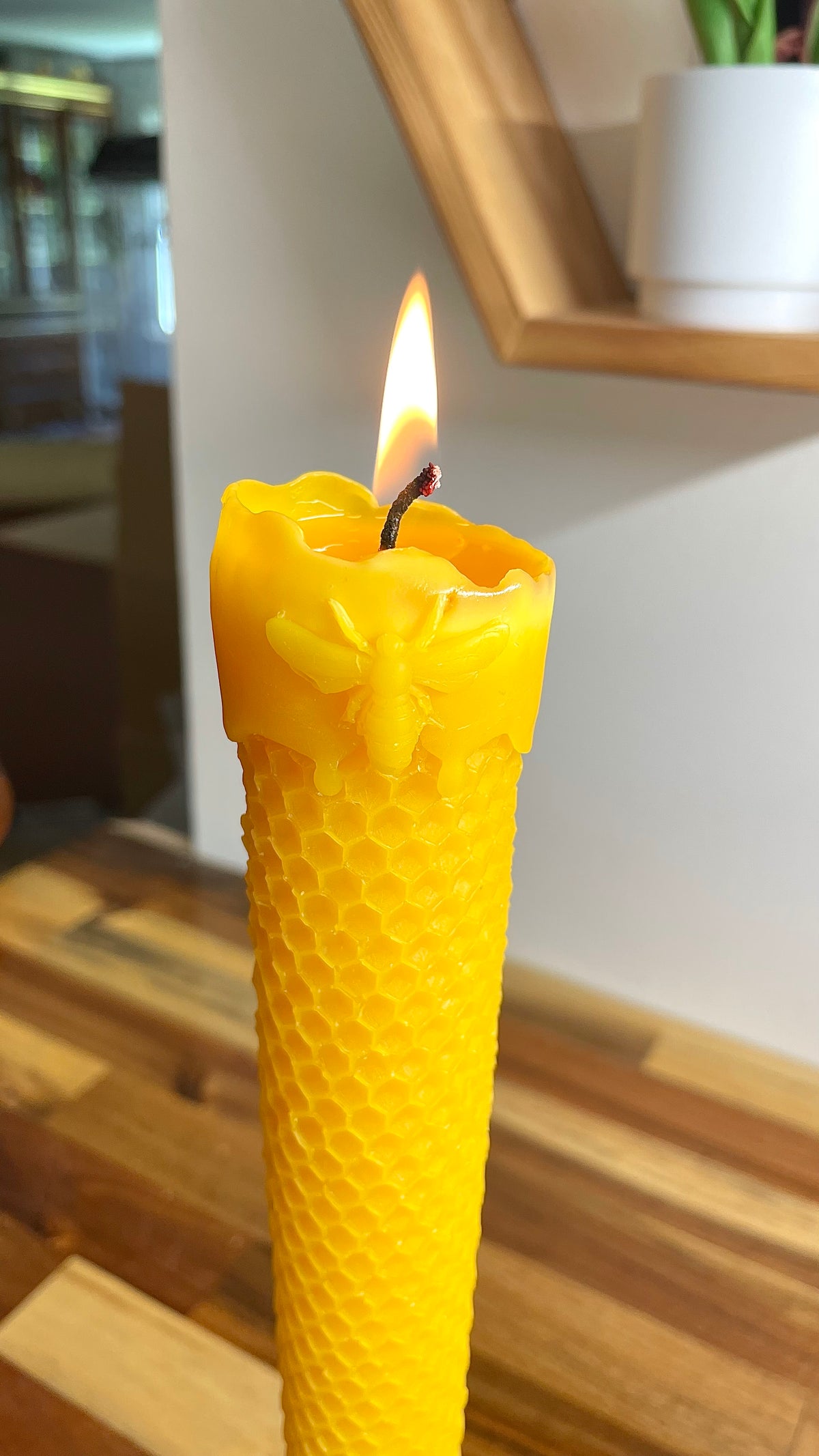 Silicone honeycomb honeybee taper mold - Mighty Queen