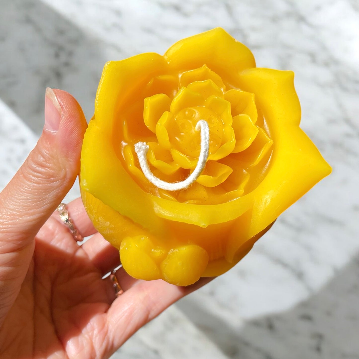 3D silicone mold - lotus flower in lotus pot