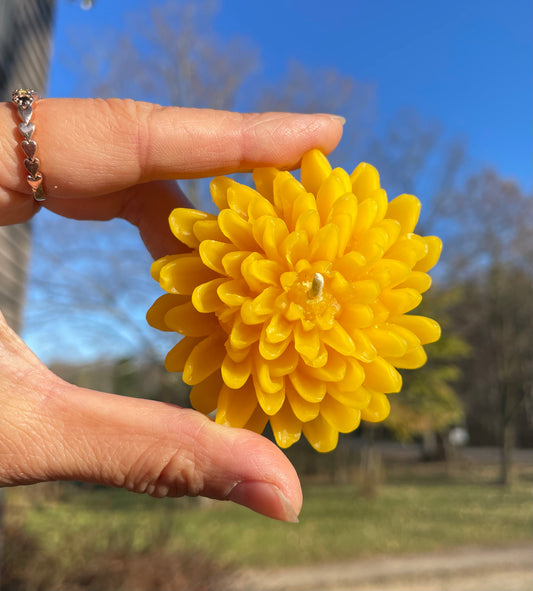 Set of 2 chrysanthemum candles - 100% pure beeswax - 2.5”