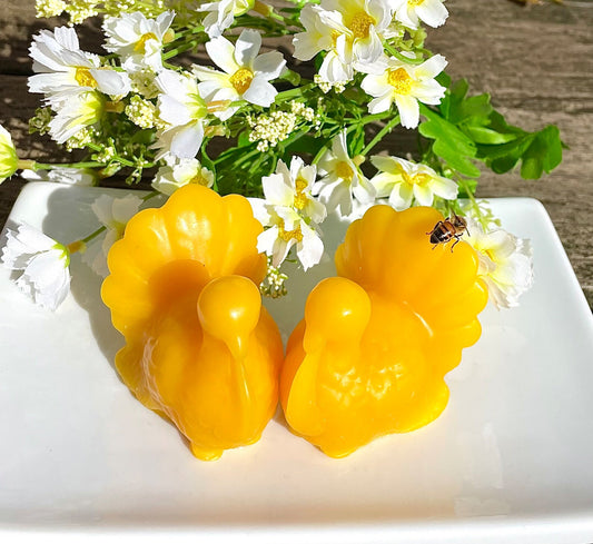 Set of 2 beeswax turkey candles - 100% Pure - thanksgiving candles - decorative candles - seasonal holiday candles - gift basket