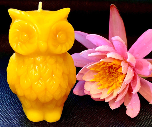 Cute Silicone owl mold - 3D owl candle soap Mold - 3 1/4” - homemade