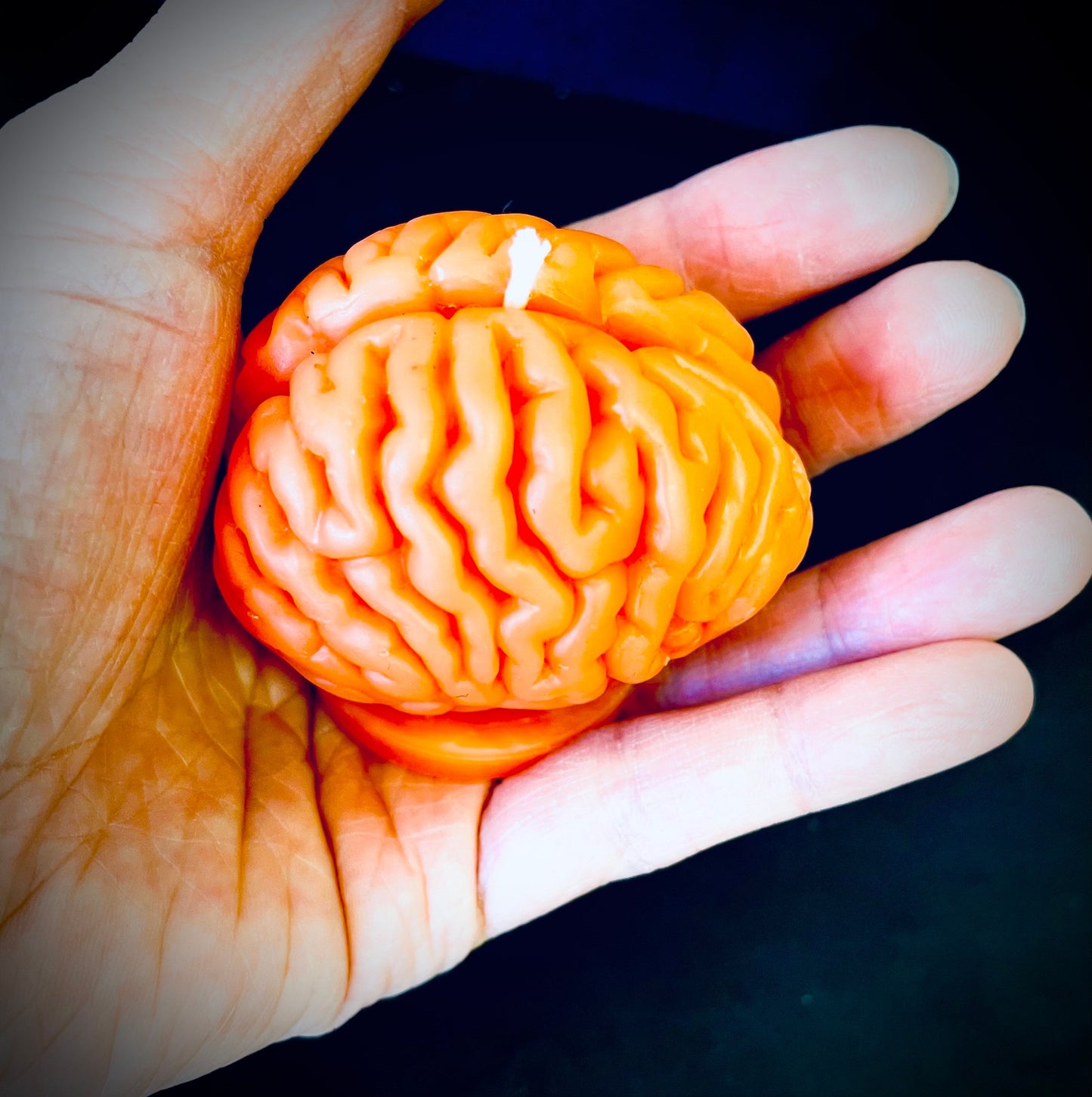 Small 3D Silicone brain Mold - Halloween candle mold - gag gift - homemade - 2”