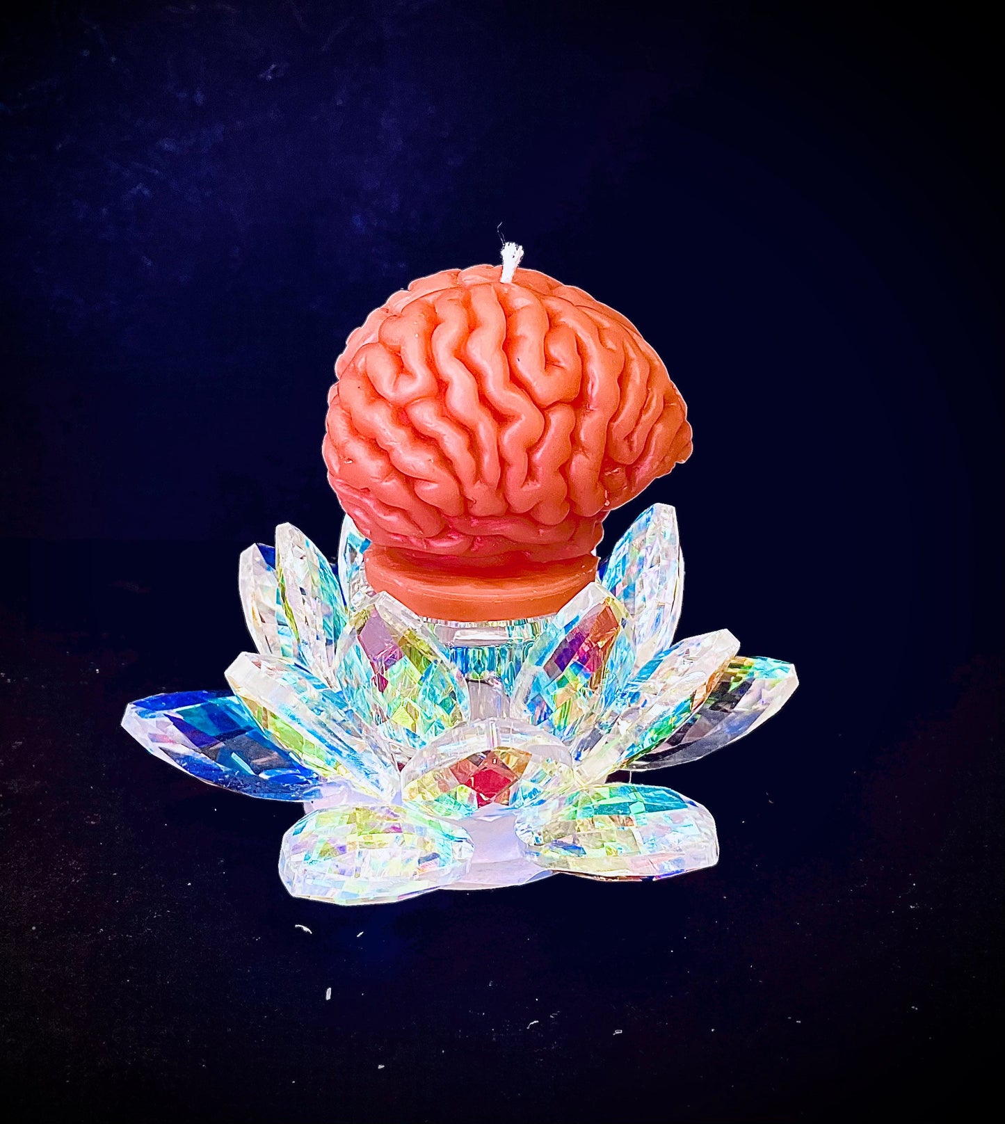 Small 3D Silicone brain Mold - Halloween candle mold - gag gift - homemade - 2”