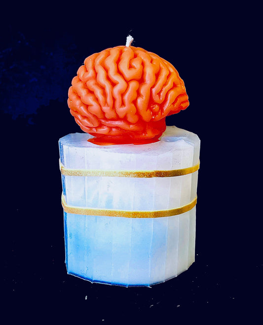 Small 3D Silicone brain Mold - Halloween candle mold - gag gift - homemade - 2”